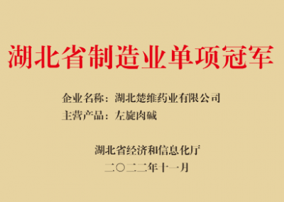 制造業(yè)單項(xiàng)冠軍